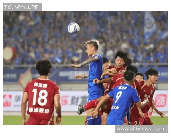 南京排球队技术争议引发热议球迷观点各异讨论激烈